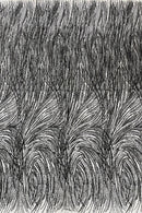 Shell Glitter Design On A Mesh Lace 54" Wide| New Creations Fabric & Foam Inc.