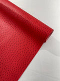 OSTRICH FAUX VINYL (by the yard) - New Creations Fabric & Foam Inc
