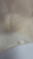 Sheer Liquid Chiffon 58” Wide| New Creations Fabric & Foam Inc.