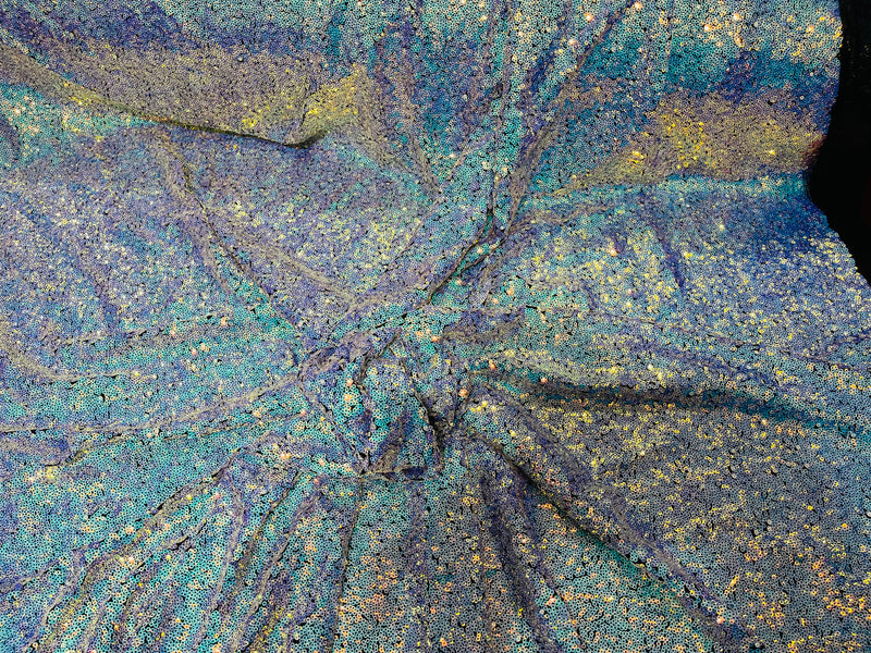 Aqua Iridescent Mini Glitz Sequins on a Black 4 Way Stretch Mesh-Sold By The Yard.